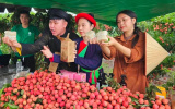 Thúc đẩy tiêu thụ nông sản trên nền tảng số