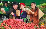 Thúc đẩy tiêu thụ nông sản trên nền tảng số