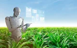 Ứng dụng AI đánh giá chất lượng nông sản