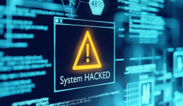 Việt Nam đứng đầu Đông Nam Á về số lượng doanh nghiệp bị tấn công web