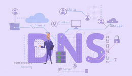 Windows 11 âm thầm rò rỉ dữ liệu qua lỗ hổng DNS mã hóa