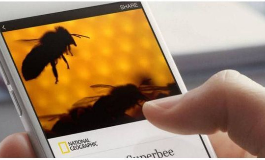 Facebook thay đổi chính sách quảng cáo trên Instant Articles