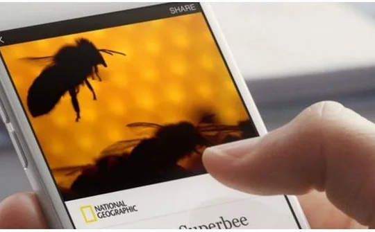 Facebook thay đổi chính sách quảng cáo trên Instant Articles