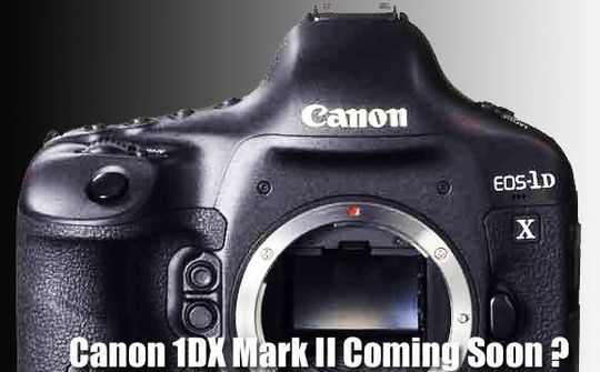 Tháng 4/2016, Canon cho phép đặt hàng 1DX Mark II