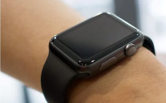 So dáng Apple Watch chính hãng tại Việt Nam