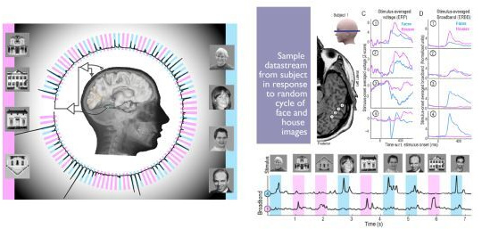 Khoa học đã có thể đoán biết chính xác ý nghĩ con người
