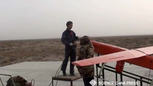 Drone sẽ có thể được điều khiển dễ dàng hơn trong tương lai gần