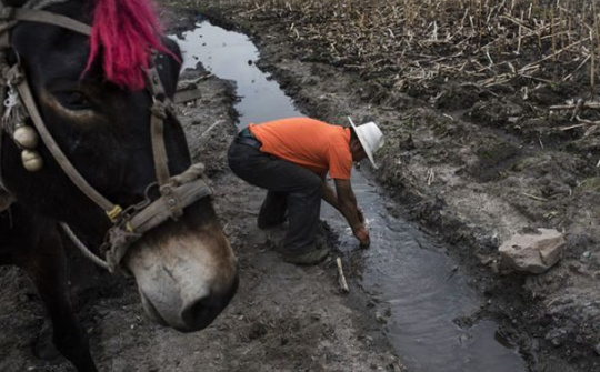 Chúng ta đánh đổi gì lấy những viên pin smartphone? (Kỳ II)