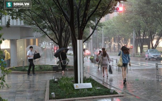 Kỹ sư Nhật phát triển công nghệ thu năng lượng từ bão