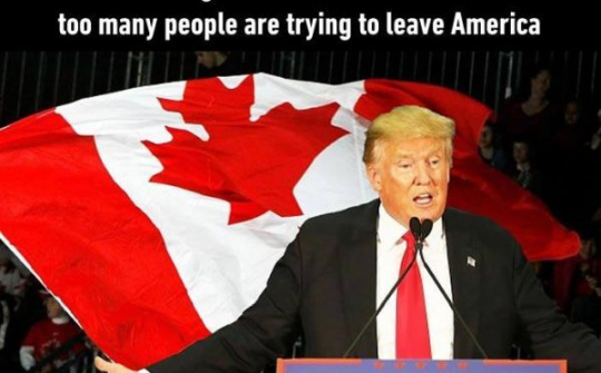 Người Mỹ hốt hoảng google "làm thế nào di cư"