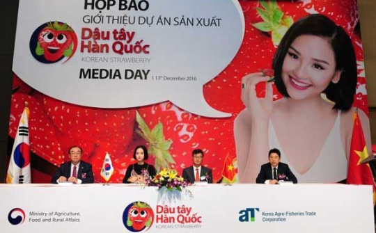 Dâu Tây canh tác công nghệ cao Hàn Quốc đến Việt Nam