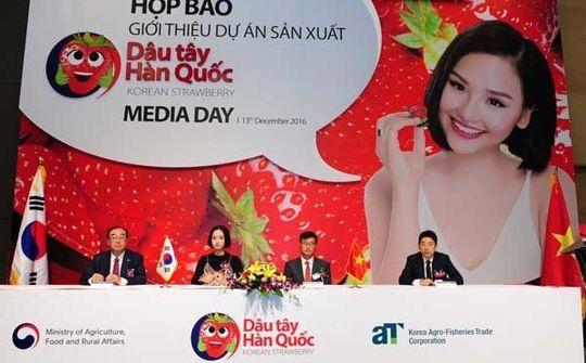 Dâu Tây canh tác công nghệ cao Hàn Quốc đến Việt Nam