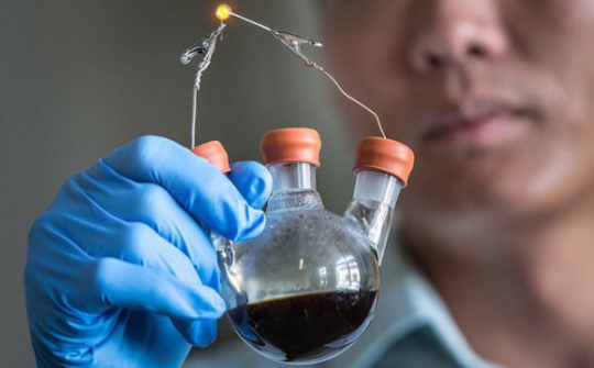 Sắp xuất hiện loại pin làm từ phấn hoa