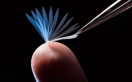 Trang phục thông minh với Polymer