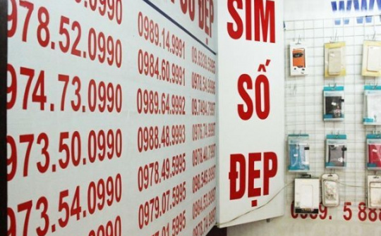 Sim "siêu đẹp" 9 con 8 sẽ được đấu giá