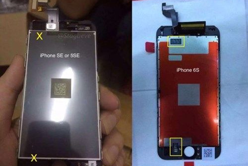 iPhone SE: Camera 12 megapixel, không hỗ trợ 3D Touch