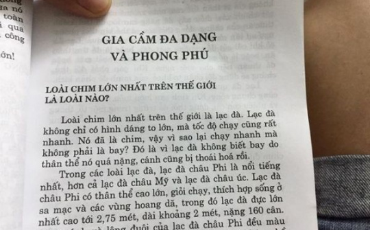 Loài chim lớn nhất thế giới là... lạc đà?