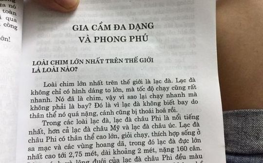 Loài chim lớn nhất thế giới là... lạc đà?