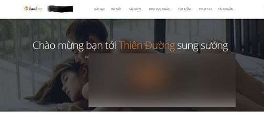 Phát hiện web khiêu dâm "Bánh mỳ" hơn 10.000 thành viên ngang nhiên tồn tại