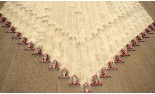 Robot trang trại sẽ khiến nông dân thất nghiệp?!