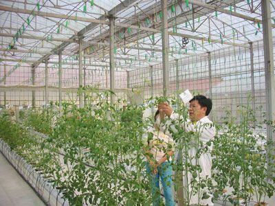 Đề xuất giảm 50% thuế Thu nhập cá nhân cho người làm CNTT trong 4 năm