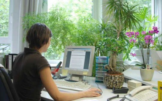 Thứ Hai ư? Không có gì phải sợ!