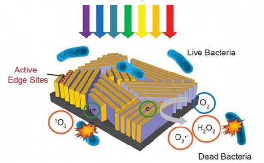 Máy lọc nước bằng con tem nhưng diệt được tới 99% vi khuẩn trong nước bẩn