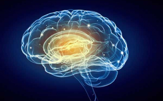 "Tập thể dục" cho bộ não để chống lú lẫn