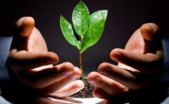 Startup Việt cần gì để lớn?