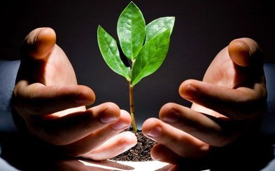 Startup Việt cần gì để lớn?