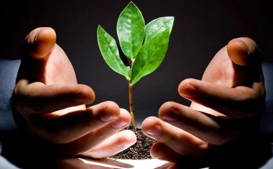 Startup Việt cần gì để lớn?