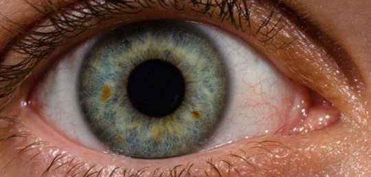 Nikon hợp tác với Verily chống lại bệnh về mắt do tiểu đường