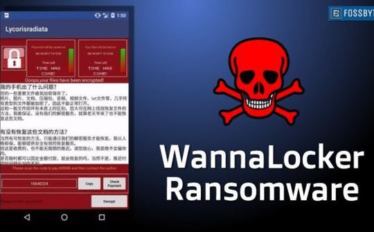 Người dùng Android nên cân nhắc trước  khi tải ứng dụng không rõ nguồn gốc