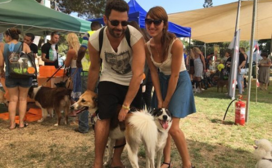 Digi-dog: Dịch vụ trực tuyến chăm sóc chó đầu tiên trên thế giới