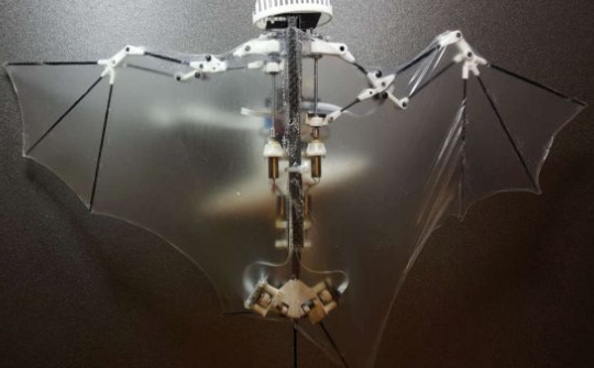 BatBot: Drone thế hệ mới dựa trên nền tảng mô phỏng sinh học