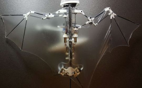BatBot: Drone thế hệ mới dựa trên nền tảng mô phỏng sinh học