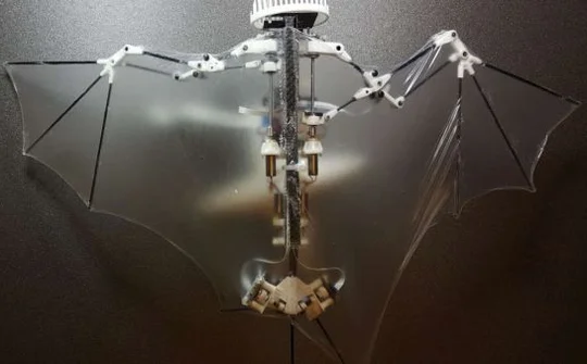 BatBot: Drone thế hệ mới dựa trên nền tảng mô phỏng sinh học