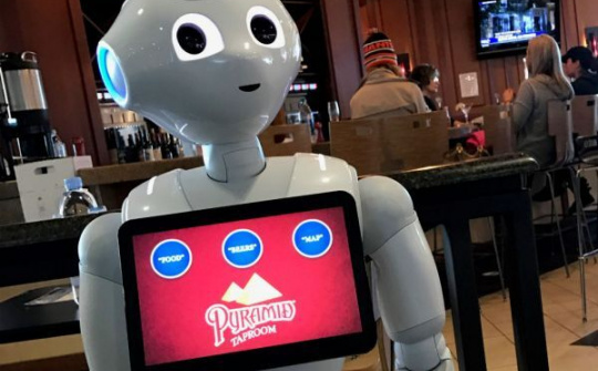 SoftBank bắt đầu đặt robot tại sân bay Mỹ