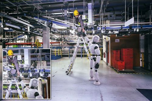 Anh: Robot phục vụ đóng gói hàng hóa trong siêu thị