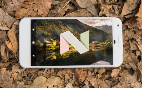 Google muốn đầu tư tới 880 triệu USD vào mảng màn hình OLED của LG