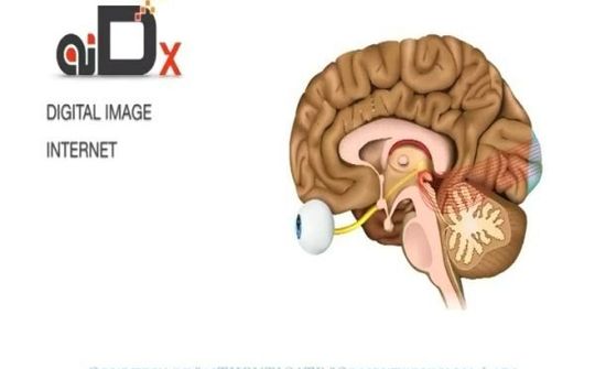Nam Phi phát triển hệ thống nhận dạng sử dụng trí tuệ nhân tạo