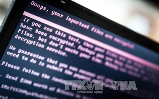 Mã độc Petya gây thiệt hại lớn hơn cả mã độc WannaCry