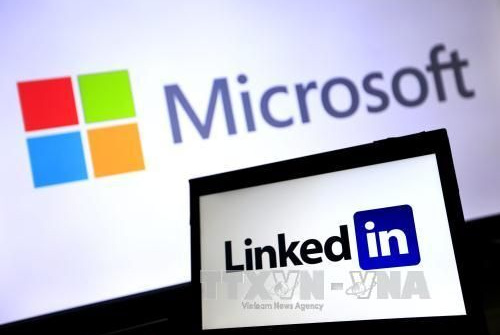 Microsoft gửi thông báo sa thải tới 50.000 nhân viên