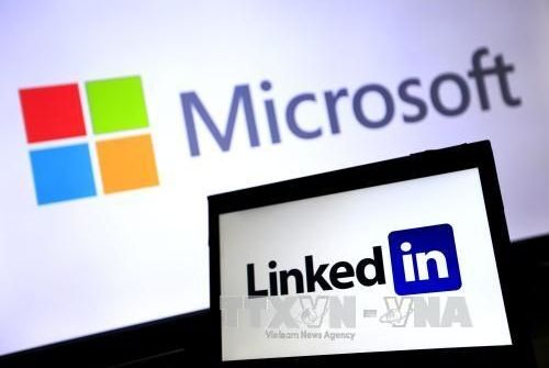 Microsoft gửi thông báo sa thải tới 50.000 nhân viên