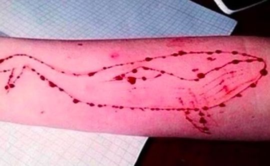 Tựa game di động Blue Whale khiến nhiều bạn trẻ tự sát