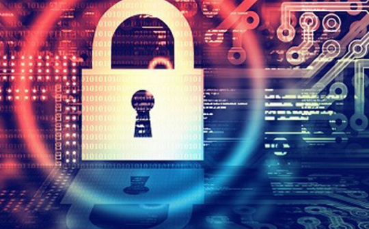 86% doanh nghiệp từng là nạn nhân của gian lận trực tuyến