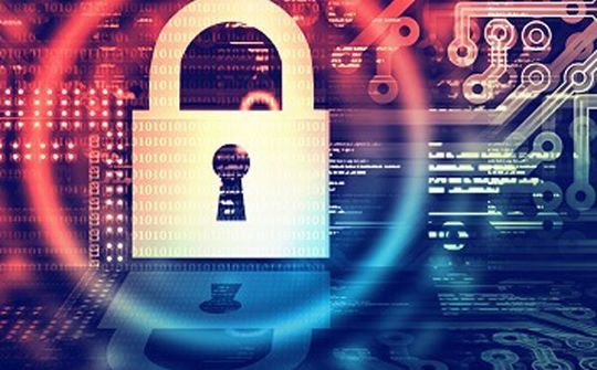 86% doanh nghiệp từng là nạn nhân của gian lận trực tuyến