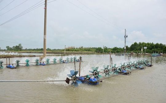 Sóc Trăng thí điểm mô hình nuôi tôm tiết kiệm tới 38,7% điện năng