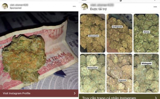 Quảng cáo cần sa, mại dâm công khai trên Instagram