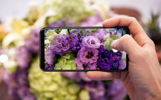 Asus chính thức bán ZenFone 5, giá 7,99 triệu đồng